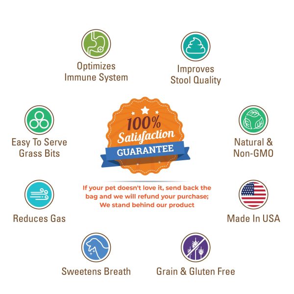 BERNIE'S PERFECT POOP 4 IN ONE DIGESTION FORMULA FOR DOGS - FIBER, PREBIOTICS, PROBIOTICS & DIGESTIVE ENZYMES HELP PREVENT GAS, DIARRHEA, CONSTIPATION, BAD BREATH, UPSET STOMACH AND STOP POOP EATING