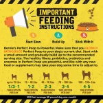BERNIE'S PERFECT POOP 4 IN ONE DIGESTION FORMULA FOR DOGS - FIBER, PREBIOTICS, PROBIOTICS & DIGESTIVE ENZYMES HELP PREVENT GAS, DIARRHEA, CONSTIPATION, BAD BREATH, UPSET STOMACH AND STOP POOP EATING