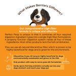 BERNIE'S PERFECT POOP 4 IN ONE DIGESTION FORMULA FOR DOGS - FIBER, PREBIOTICS, PROBIOTICS & DIGESTIVE ENZYMES HELP PREVENT GAS, DIARRHEA, CONSTIPATION, BAD BREATH, UPSET STOMACH AND STOP POOP EATING