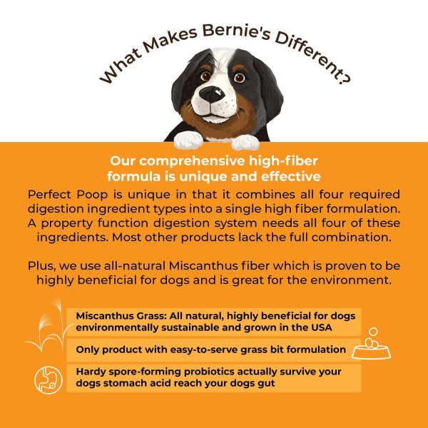 BERNIE'S PERFECT POOP 4 IN ONE DIGESTION FORMULA FOR DOGS - FIBER, PREBIOTICS, PROBIOTICS & DIGESTIVE ENZYMES HELP PREVENT GAS, DIARRHEA, CONSTIPATION, BAD BREATH, UPSET STOMACH AND STOP POOP EATING