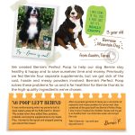 BERNIE'S PERFECT POOP 4 IN ONE DIGESTION FORMULA FOR DOGS - FIBER, PREBIOTICS, PROBIOTICS & DIGESTIVE ENZYMES HELP PREVENT GAS, DIARRHEA, CONSTIPATION, BAD BREATH, UPSET STOMACH AND STOP POOP EATING