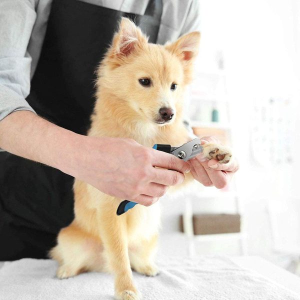 Blue Dog Nail Clippers and Trimmer With Safety Guard, Avoid Over-Cutting Toenail Razor Sharp Blades, Small Medium Large Breeds