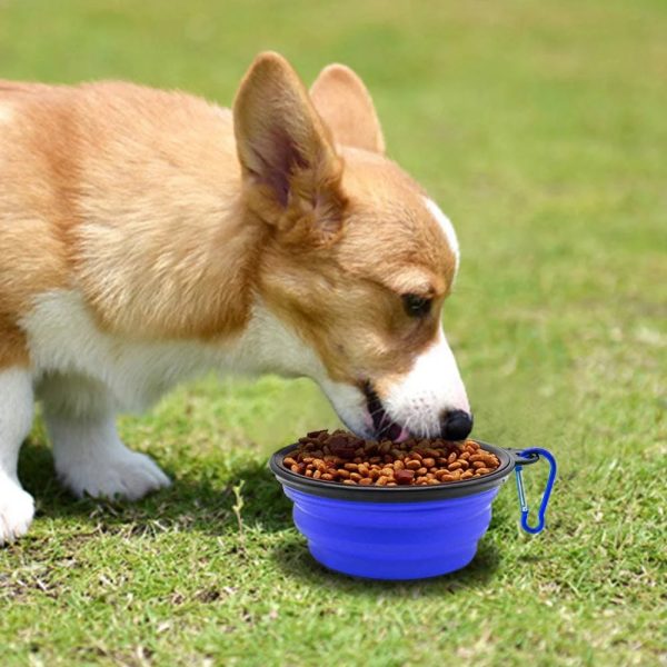 Collapsible Dog Bowl, Foldable Expandable Cup Dish for Pet Cat Food Water Feeding Portable Travel Bowl