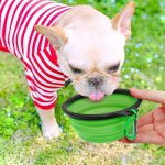 Collapsible Dog Bowl, Foldable Expandable Cup Dish for Pet Cat Food Water Feeding Portable Travel Bowl
