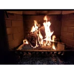 Enviro-Log Enviro-Flame Premium .65CF Boxed Firewood