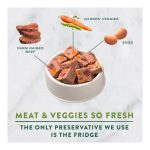 Freshpet Healthy & Natural Dog Food, Fresh Beef Roll, 1.5lb
