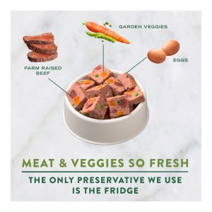 Freshpet Healthy & Natural Dog Food, Fresh Beef Roll, 1.5lb(1)