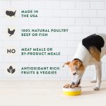 Freshpet Healthy & Natural Dog Food, Fresh Beef Roll, 1.5lb