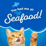 Friskies Dry Cat Food, Seafood Sensations, 6.3 lb. Bag