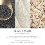 Chesapeake Bay Candle Minimalist Collection Black Sesame - 10.1oz Soft-Touch Medium Ribbed Jar Candle
