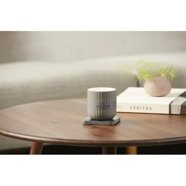 Chesapeake Bay Candle Minimalist Collection Black Sesame - 10.1oz Soft-Touch Medium Ribbed Jar Candle