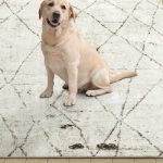 Everwash™ Treasure Alan Modern Geometric Machine Washable Area Rug, Beige/Brown, 5'2"x7'2"