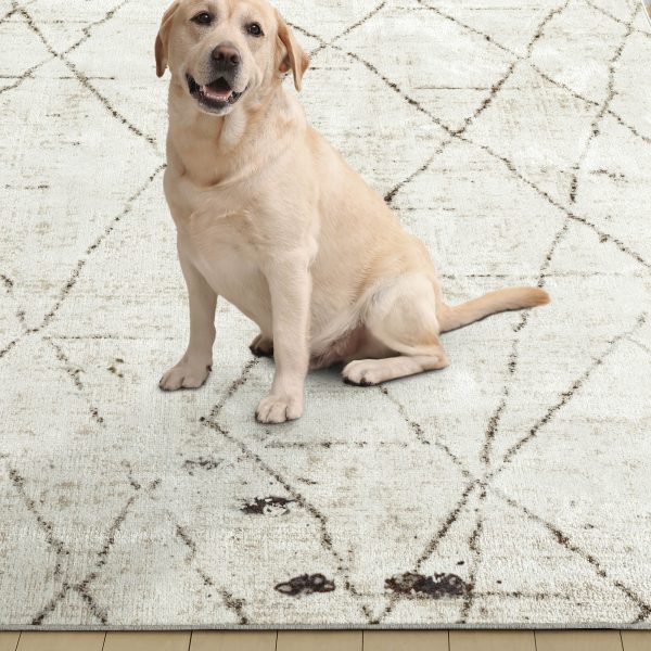 Everwash™ Treasure Alan Modern Geometric Machine Washable Area Rug, Beige/Brown, 5'2"x7'2"