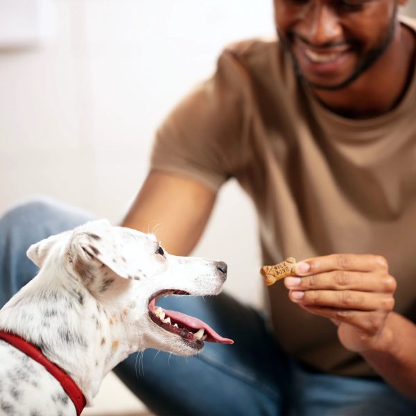 Milk-Bone Flavor Snacks Mini Dog Biscuits, Flavored Crunchy Dog Treats,15 oz.