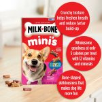 Milk-Bone Flavor Snacks Mini Dog Biscuits, Flavored Crunchy Dog Treats,15 oz.