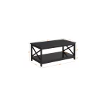 Modern Wooden X-Design Rectangle Coffee Table with Storage Shelf, Multiple Colors