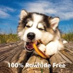 N-Bone® Puppy Teething Rings Chicken Flavor, 10 Treats, 12oz, Dried Chew Treats for Dogs