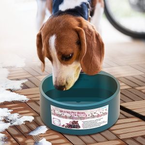 NAMSAN Heated Pet Bowl Dog Water Thermal-Bowl Heating Water Dish Feeder for Dogs, Cats, Rabbits, Chickens, Ducks