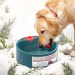 NAMSAN Heated Pet Bowl Dog Water Thermal-Bowl Heating Water Dish Feeder for Dogs, Cats, Rabbits, Chickens, Ducks