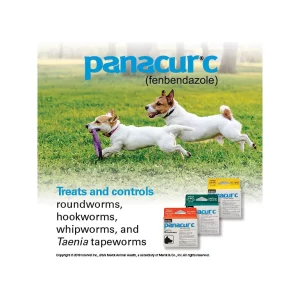 Panacur C Dewormer (Fenbendazole) for Dogs, Three 4-Gram Packets (40 Pounds)(1)
