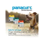 Panacur C Dewormer (Fenbendazole) for Dogs, Three 4-Gram Packets (40 Pounds)