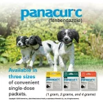 Panacur C Dewormer (Fenbendazole) for Dogs, Three 4-Gram Packets (40 Pounds)