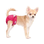 Paw Inspired 3ct Washable Female Dog Diapers, Doggie Doggy Diapers, Puppy Diapers for Female Dog Heat | Reusable Pet Diapers for Female Dogs, Cat Diapers (Assorted (White Lining), X-Small)