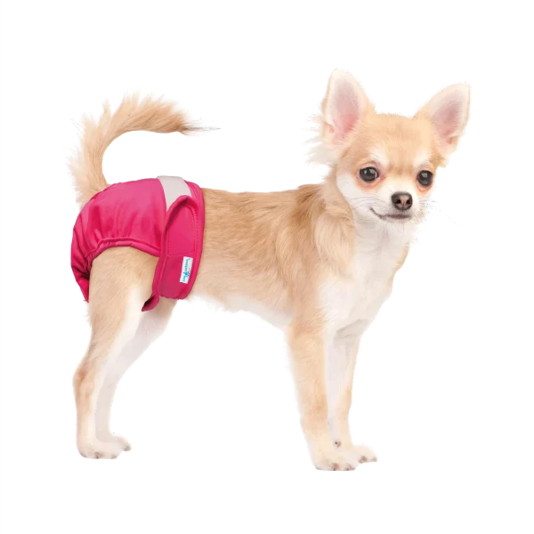 Paw Inspired 3ct Washable Female Dog Diapers, Doggie Doggy Diapers, Puppy Diapers for Female Dog Heat | Reusable Pet Diapers for Female Dogs, Cat Diapers (Assorted (White Lining), X-Small)