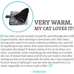 Paws & Pals Self Warming Medium Cat Pet Bed Gray Black Leopard Print (20x17.5x0.1 inches)