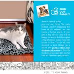 Paws & Pals Self Warming Medium Cat Pet Bed Gray Black Leopard Print (20x17.5x0.1 inches)