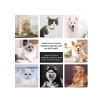 Pet Supply Self Cleaning Dog Brush & Cat Brush, Pet Grooming Brush and Comb Pet Hair Deshedding Brush Tool for Dogs and Cats with Short to Long Hair
