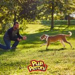 Pup-Peroni Original Bacon Flavor Treats, 5.6-Ounce