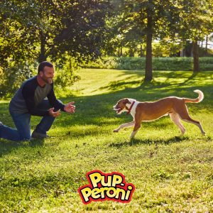 Pup-Peroni Original Bacon Flavor Treats, 5.6-Ounce(1)