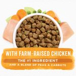 Purina Beneful Simple Goodness Dry Dog Food Farm Raised Chicken, 9.4 lb Box