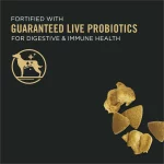 Purina Pro Plan Complete Essentials for Adult Dogs Chicken Rice, 35 lb Bag