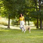 Rachael Ray Nutrish Natural Premium Dry Dog Food, Real Beef, Pea, & Brown Rice Recipe, 15.4 Lbs