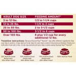 Rachael Ray Nutrish Natural Premium Dry Dog Food, Real Beef, Pea, & Brown Rice Recipe, 15.4 Lbs