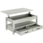 Rolanstar Coffee Table Lift Top with Drawers for Living Room,Gray