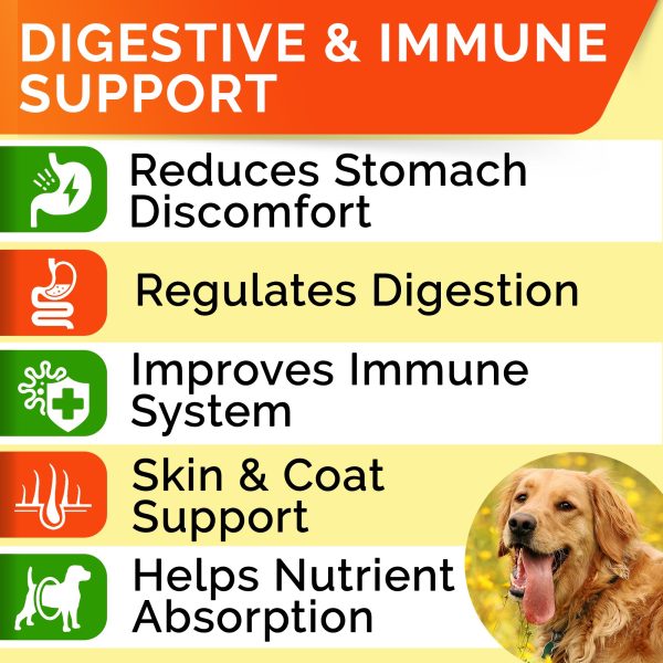 StrellaLab Probiotics for Dogs, 120 Chews