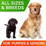 StrellaLab Probiotics for Dogs, 120 Chews