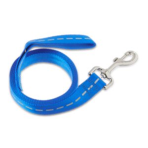 Vibrant Life Solid Nylon Dog Leash, Blue, Small, 5'