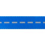 Vibrant Life Solid Nylon Dog Leash, Blue, Small, 5'