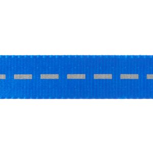 Vibrant Life Solid Nylon Dog Leash, Blue, Small, 5′(1)