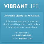 Vibrant Life Solid Nylon Dog Leash, Blue, Small, 5'