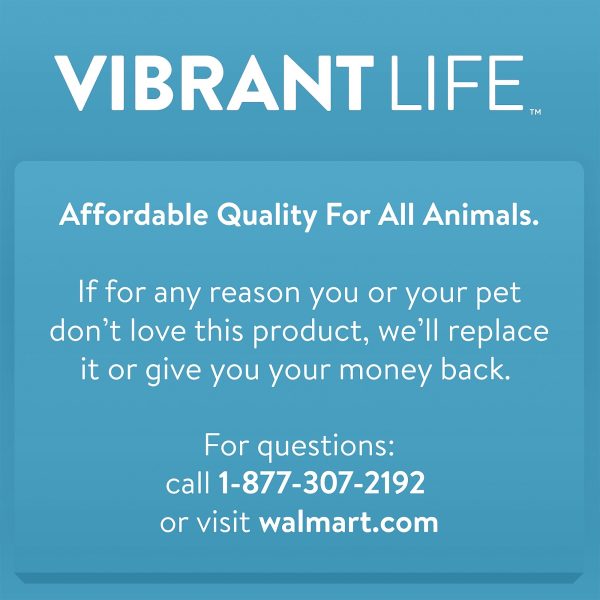Vibrant Life Solid Nylon Dog Leash, Blue, Small, 5'
