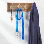 Vibrant Life Solid Nylon Dog Leash, Blue, Small, 5'