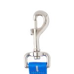 Vibrant Life Solid Nylon Dog Leash, Blue, Small, 5'