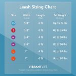 Vibrant Life Solid Nylon Dog Leash, Blue, Small, 5'