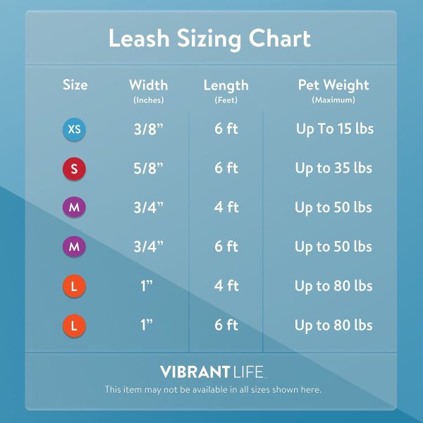 Vibrant Life Solid Nylon Dog Leash, Blue, Small, 5'