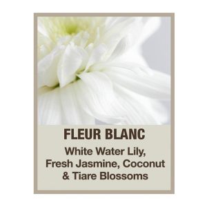 tweakd-by-nature-2-piece-cleansing-hair-treatment-fleur-d-20230322130128117~834037_alt99